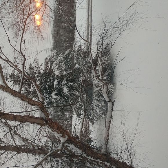 Tennessee Snow ❄️ 1/6/2022 - Picture 7 of 7